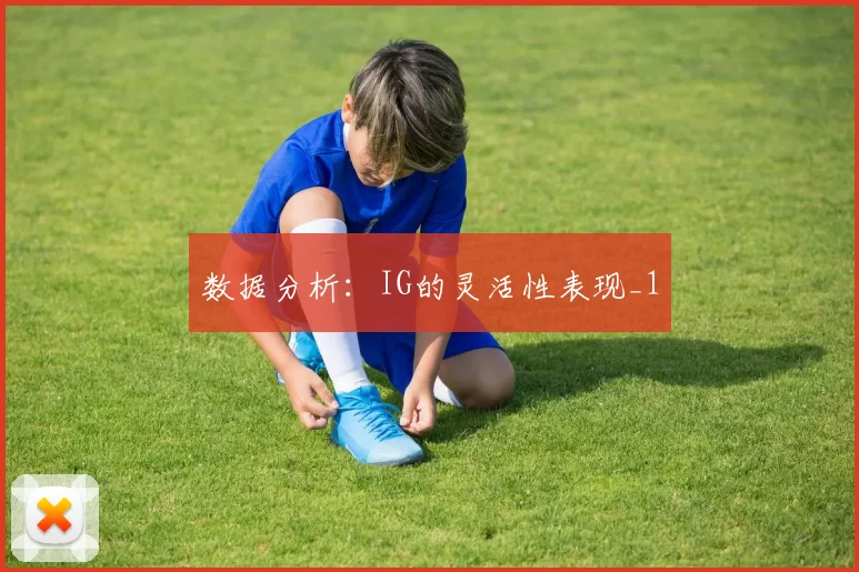 数据分析：IG的灵活性表现_1