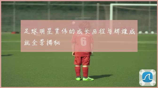 足球明星贾伟的成长历程与辉煌成就全景揭秘
