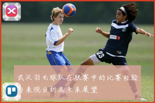 武汉羽毛球队在联赛中的比赛经验与表现分析及未来展望