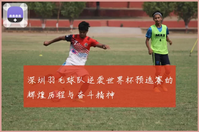 深圳羽毛球队逆袭世界杯预选赛的辉煌历程与奋斗精神