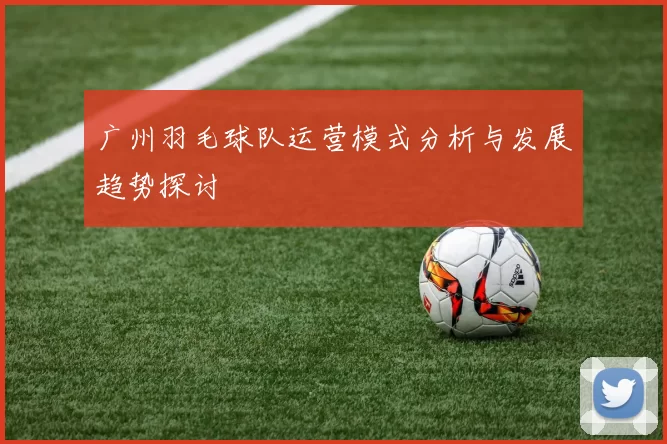 广州羽毛球队运营模式分析与发展趋势探讨
