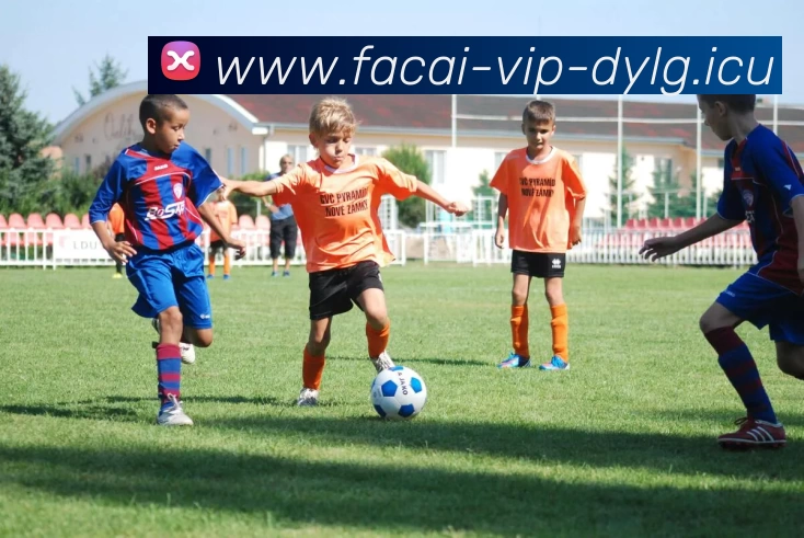 足球明星Q版人偶的魅力与创意设计探索之旅